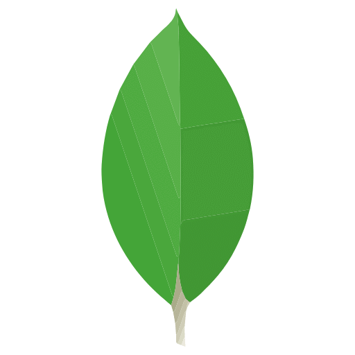 ./Icons/MongoDB.png